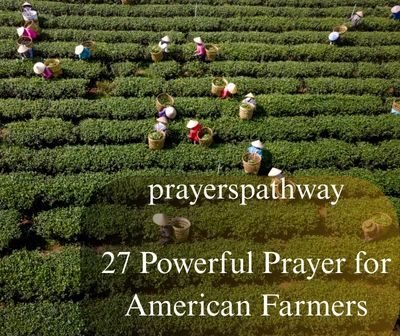 Prayer for American Farmers